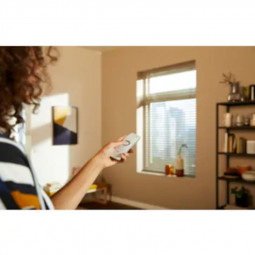 Télécommande SITUO 5 io pour variation